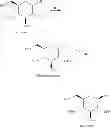 Fig. 06 - Process for the preparation of β-C-aryl glucosides