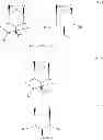 Fig. 12 - Process for the preparation of β-C-aryl glucosides