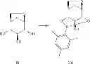 Fig. 52 - Process for the preparation of β-C-aryl glucosides