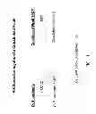 Fig. 12 - Crosslinked polysaccharide