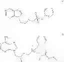 Fig. 03 - Methods for preparing anti-viral nucleotide analogs