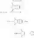 Fig. 07 - Intermediates useful in the preparation of maleimide functionalized polymers