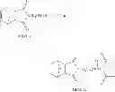Fig. 27 - Intermediates useful in the preparation of maleimide functionalized polymers