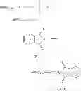 Fig. 31 - Intermediates useful in the preparation of maleimide functionalized polymers