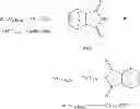 Fig. 34 - Intermediates useful in the preparation of maleimide functionalized polymers