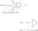Fig. 35 - Intermediates useful in the preparation of maleimide functionalized polymers