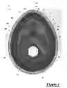 Fig. 02 - Ambidextrous ergonomic face mask