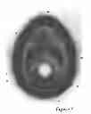 Fig. 06 - Ambidextrous ergonomic face mask