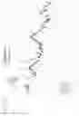 Fig. 40 - Dry insertion and one-point in vivo calibration of an optical analyte sensor