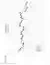 Fig. 41 - Dry insertion and one-point in vivo calibration of an optical analyte sensor