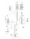 Fig. 02 - Alignment of Imaging Modalities