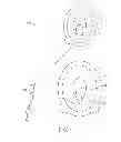 Fig. 09 - EAR COUPLER