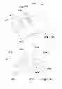 Fig. 41 - Vascular blood sampling catheter