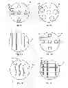Fig. 07 - Treatment Device