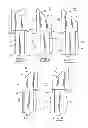 Fig. 06 - Isometric System, Method and Apparatus for Isometric Exercise