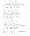 Fig. 02 - COMPOUNDS FOR PHOTOCHEMOTHERAPY