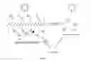 Fig. 03 - COMPOUNDS FOR PHOTOCHEMOTHERAPY