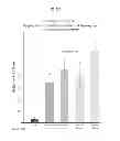 Fig. 12 - Delivery of large molecular weight biologically active substances