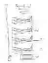 Fig. 02 - Introducer assembly extension and method of use