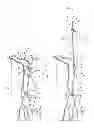 Fig. 03 - Introducer assembly extension and method of use