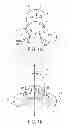 Fig. 02 - Force Modulating Tissue Bridge