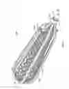 Fig. 20 - Apparatus and methods for fracture repair