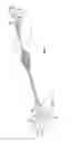 Fig. 06 - Methods and apparatus for treating vertebral fractures