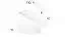 Fig. 13 - Animal marking devices, transfer assemblies, and useful restraints