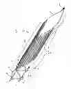 Fig. 04 - Endovascular prosthesis and delivery device