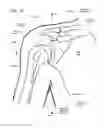 Fig. 02 - IMPLANTABLE GLENOID PROSTHESES