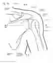 Fig. 03 - IMPLANTABLE GLENOID PROSTHESES