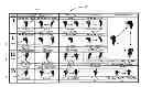 Fig. 01 - Biomimetic controller for increased dexterity prosthesis