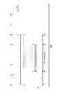 Fig. 06 - SYNCHRONIZATION OF BUFFERED AUDIO DATA WITH LIVE BROADCAST