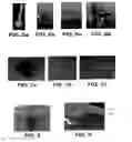 Fig. 05 - METHODS AND APPARATUS FOR COMPUTER-AIDED TISSUE ENGINEERING FOR MODELING, DESIGN AND FREEFORM FABRICATION OF TISSUE SCAFFOLDS, CONSTRUCTS, AND DEVICES