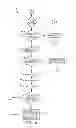 Fig. 02 - Method of addressing and correcting mismatches between E-shift position and actual transmission gear