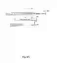 Fig. 11 - Near field communication mobile device and navigation device communication system