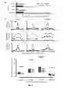 Fig. 41 - Methods, Systems and Devices Comprising Support Vector Machine for Regulatory Sequence Features