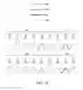 Fig. 11 - VALIDATION OF GENETIC TESTS