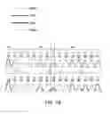 Fig. 16 - VALIDATION OF GENETIC TESTS