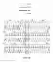 Fig. 24 - VALIDATION OF GENETIC TESTS