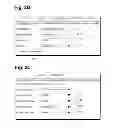 Fig. 04 - Smart Packaging Initiative (SPI) Scoring System