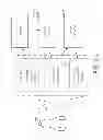 Fig. 02 - Systems and Methods for Detecting and Reselling Viewable Ad Space Based on Monitoring Pixel Sequences