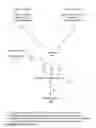 Fig. 01 - SYSTEM AND METHOD FOR ASSESSING MORTGAGE BROKER AND LENDER COMPLIANCE