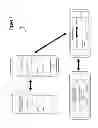 Fig. 08 - FINANCIAL INSTITUTION ACCOUNT NETWORKING