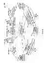 Fig. 04 - TRANSACTION COST BROKERING