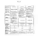 Fig. 06 - FIXED RATE FINANCING INSTRUMENT OFFERING A DIVIDEND OR PARTIALLY GUARANTEED BY THIRD PARTY TO ISSUANCE, METHOD FOR ESTABLISHING A MARKET FOR THE SAME, METHOD FOR DIRECTLY PUBLIC-OFFERING THE SAME ON-LINE