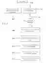 Fig. 08 - Method for synchronization and management of system activities with locally installed applications