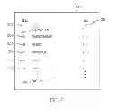 Fig. 03 - Providing file indexes and per-file viewing modes within a file management application