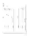 Fig. 06 - SOCKET COMMUNICATION APPARATUS AND METHOD