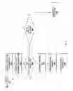 Fig. 06 - LOW POWER WRITE JOURNALING STORAGE SYSTEM